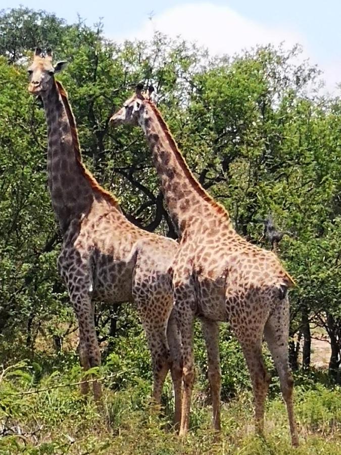 Boulders Safari Lodge Malalane Exterior photo
